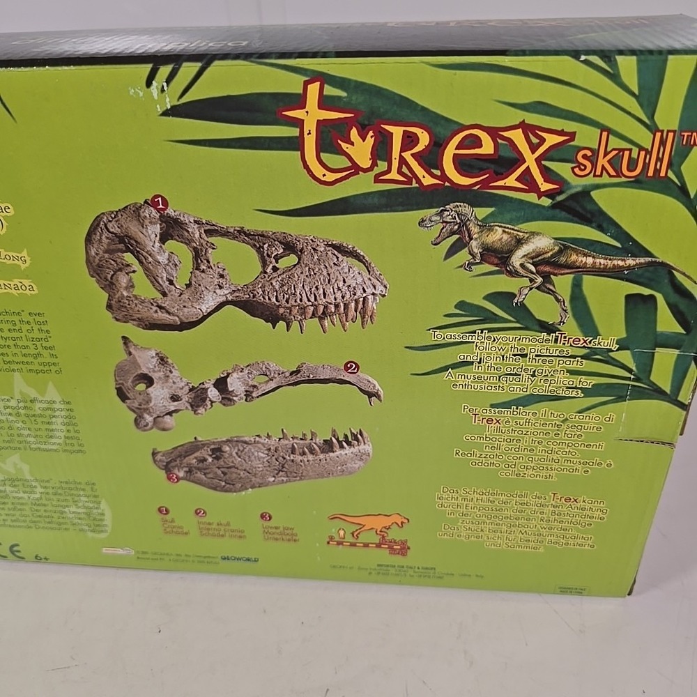 Geolinea Fossil Replicas T-Rex Dinosaur Skull High‎ Definition 1:10 Replica - Picture 9 of 13